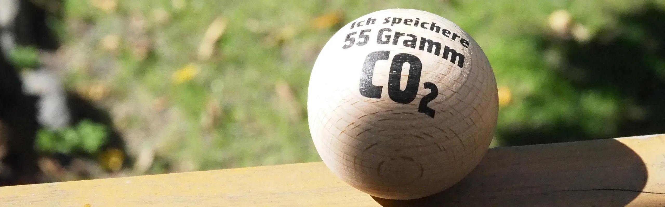 Holzkugel mit Aufschrift "Ich speichere 55 Gramm CO2"