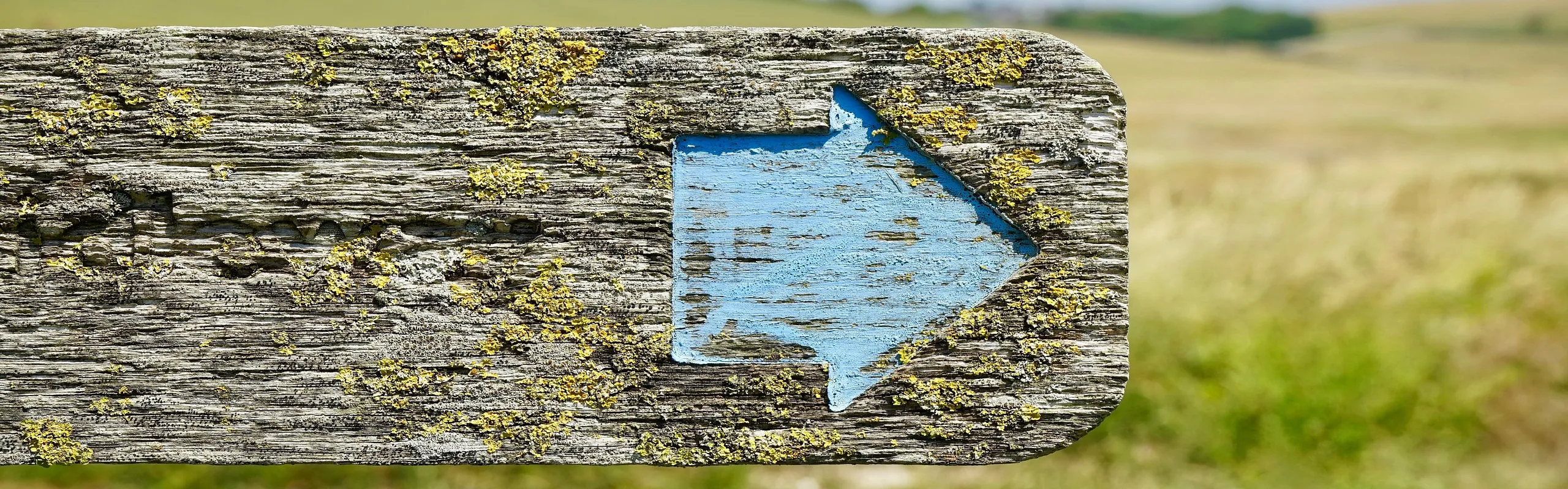 Verwittertes Holzschild mit blauem Pfeil nach rechts